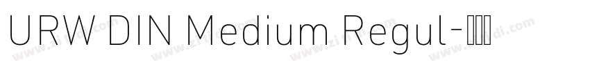 URW DIN Medium Regul字体转换